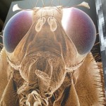 soft touch coating & spot switch UV coating on eyes